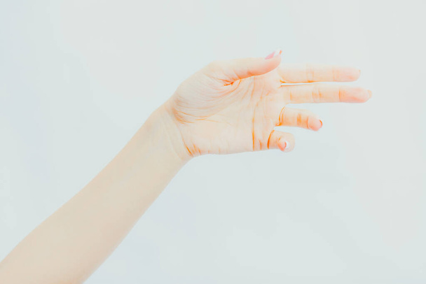 Vrouwelijke hand met franse manicure op grijze achtergrond - Foto, afbeelding