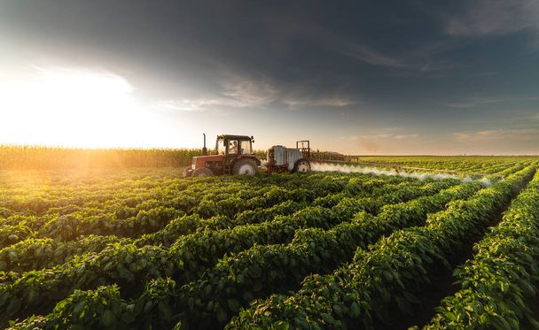 Tractor pulverización de pesticidas en el campo vegetal con pulverizador en primavera - Foto, Imagen