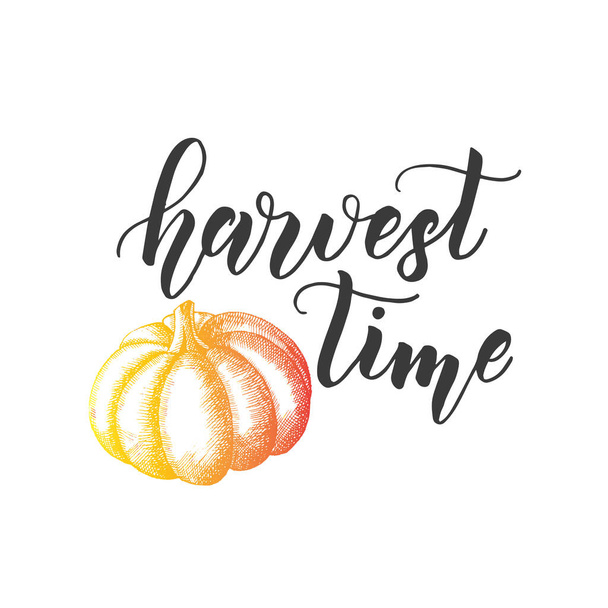 Autumn lettering calligraphy phrase - Harvest time. Invitation Card with pumkin and Hand made quote isolated on white. Sketch, Vector design - Vektör, Görsel
