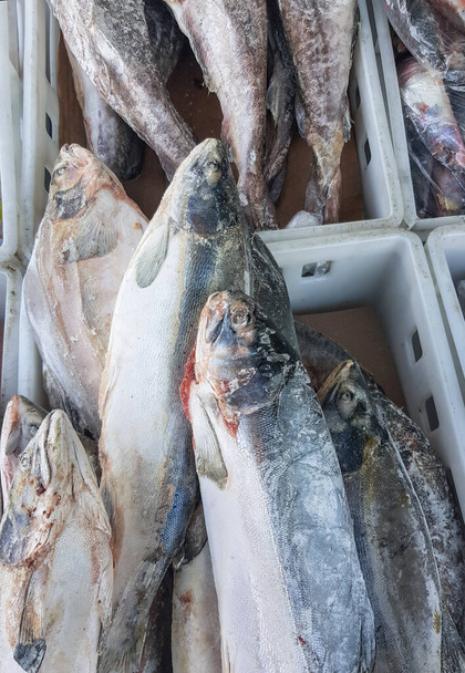Salmone di pesce congelato in una scatola di plastica sul bancone aperto di un mercato del pesce di strada, foto verticale. - Foto, immagini