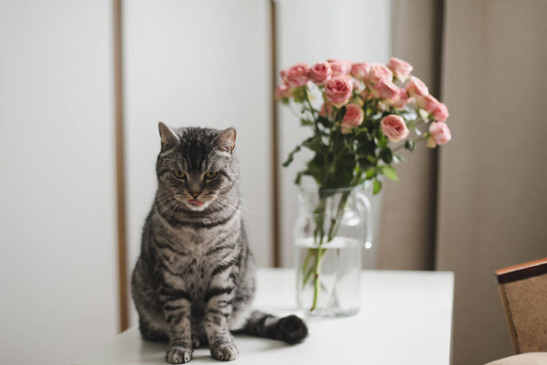 Funny cat and jug with flowers in light room. Cute cat, vase with roses, armchair in a cozy room. Interior decoration - Фото, изображение