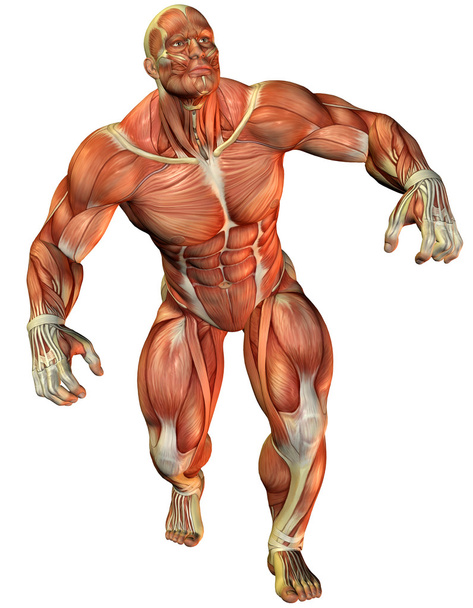 Fuerza muscular un atleta
 - Foto, Imagen