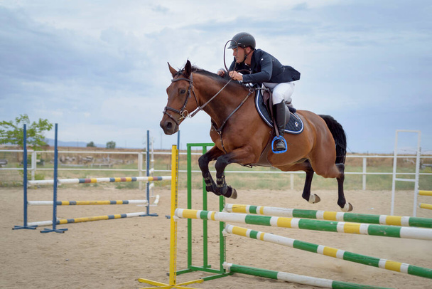 Jockey chevauchant un cheval sautant un obstacle sur la piste. Sport de saut. - Photo, image