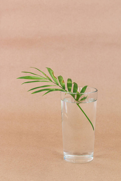 palm leaf in a glass against beige background with empty space for text - Foto, imagen