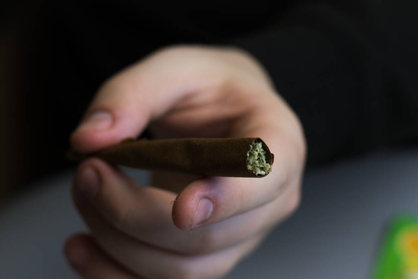Cannabis stumpf oder Joint aus nächster Nähe. Marihuana in Papier gerollt. THC-Drogenkonsum. - Foto, Bild