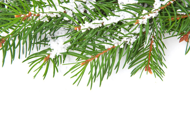 Christmas framework with snow - Photo, image