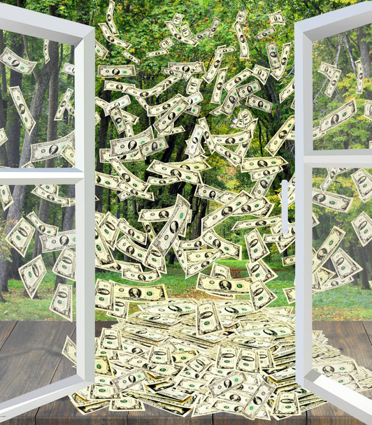 Parka bakan pencereden bir yığın dolar uçuyor. Yazlık parkın penceresini açan dolar banknotları. Yaz parkının arka planında para var. Para harcamak - Fotoğraf, Görsel