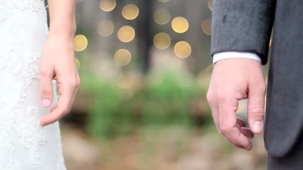 Wedding hand hold - Footage, Video