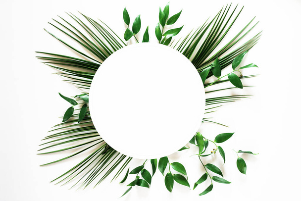 Tropical green leaf circle frame on white background - Фото, изображение