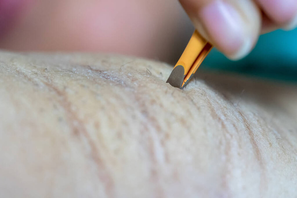 Close up hand of woman plucking armpit hair removal. Beauty  care. - Photo, Image