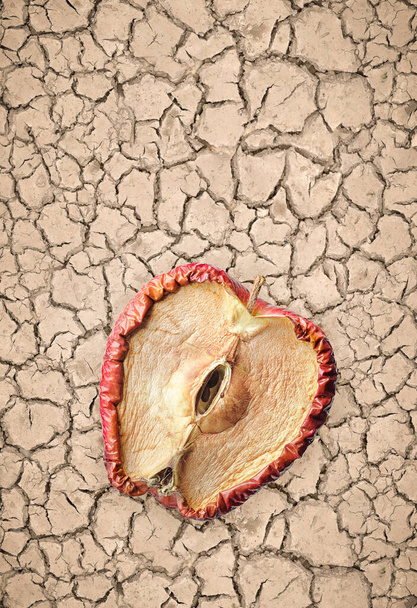 Manzana medio podrida y semillas en suelo seco y agrietado, concepto sin esperanza sin futuro. - Foto, Imagen