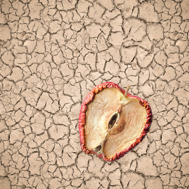 Halve rotte appel en zaden op droge en gebarsten grond, hopeloos concept zonder toekomst. - Foto, afbeelding