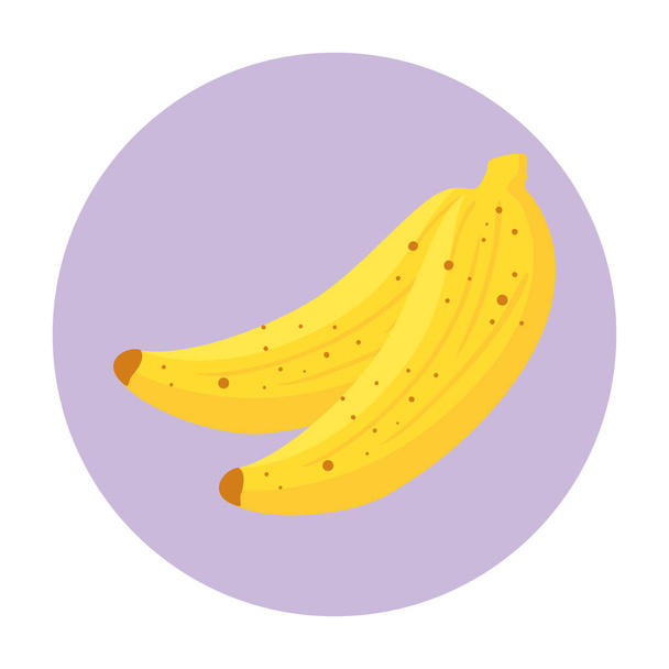 frutta di banane fresche su cornice rotonda, su sfondo bianco - Vettoriali, immagini