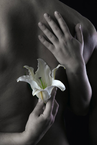 close-up delicate white lily in the hands against the background of naked torso, studio dark background - Fotoğraf, Görsel