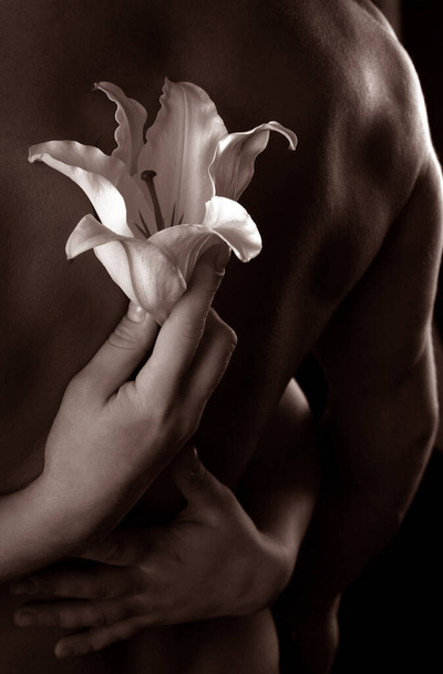 close-up of white lily in the hands against the background of a naked torso studio on dark background sepia - Photo, Image