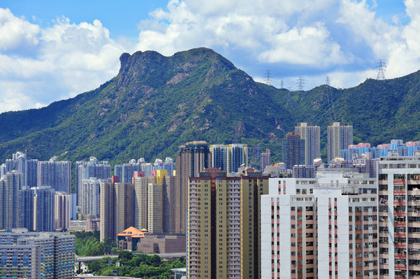 Mountain lion rock w hong kong city - Zdjęcie, obraz