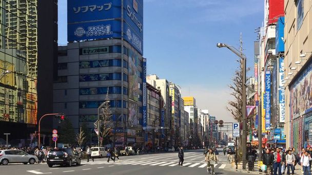Akihabara bölgesi. Tokyo 'daki elektronik mahalle mükemmelliği. Anime, manga, video oyunları, hizmetçi ve kostüm kafeleri ve daha fazlası. Otaku kültürünün ikonik yeri. - Fotoğraf, Görsel