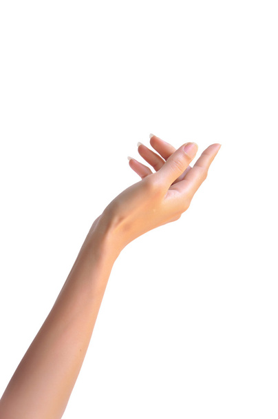 ženská ruka - Fotografie, Obrázek
