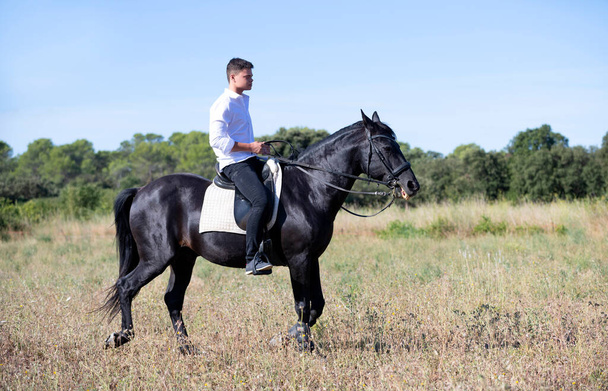  乗馬のティーンエイジャーは彼女の黒い馬を訓練している - 写真・画像