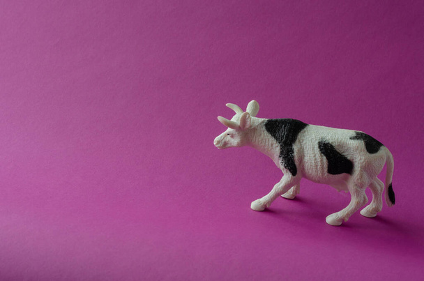 Figurine of white cow with black spots on purple background. Farm products, livestock concept. Copy space. Top view at an angle. Selective focus. - Photo, Image