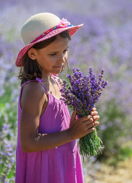 Portrait of little girl with lavender bouquet in her hand in the lavender field. - Photo, image