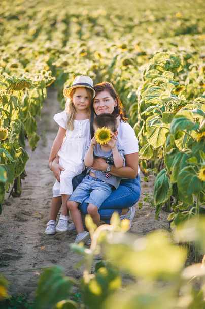 Young beautiful mother in a blue jeans and two her little children in a field among sunflowers on sunset. Family portrait. - Zdjęcie, obraz