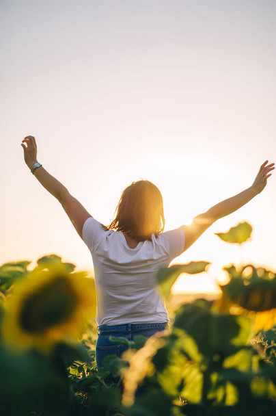 Back view of young woman's silhouette holding hands up in air and rejoice of beautiful sunset. Summertime in sunflower's field. Harvest time - Photo, Image