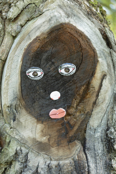 Twarz narysowana na drzewie. Kobiece emotikony twarzy. Maska na pniu drzewa w lesie. Park publiczny. - Zdjęcie, obraz