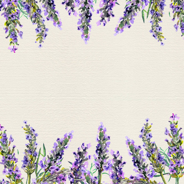 Lavender flowers. Watercolor border stripe, floral card - Photo, image