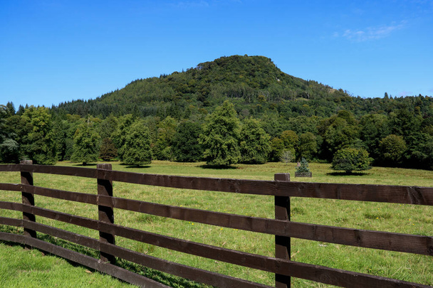 Zalesněný kopec s ohraničeným plotem a stromy na louce - Fotografie, Obrázek