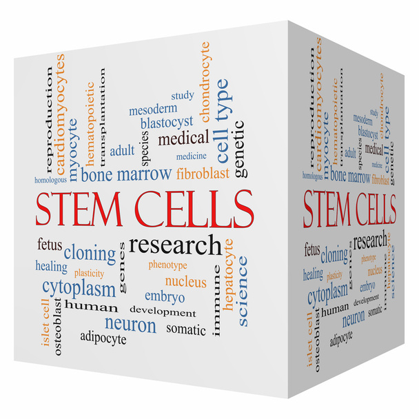 Stem Cells 3D cube Word Cloud Concept - Photo, Image