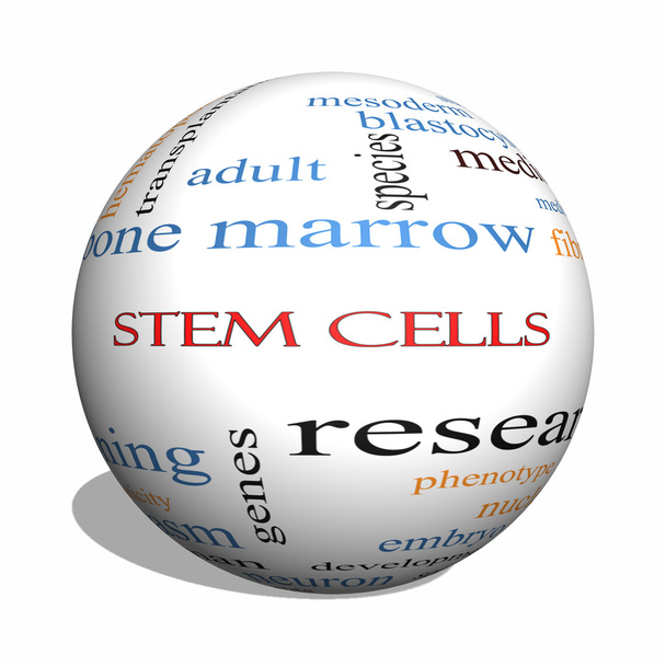 Stem Cells 3D sphere Word Cloud Concept - Photo, Image