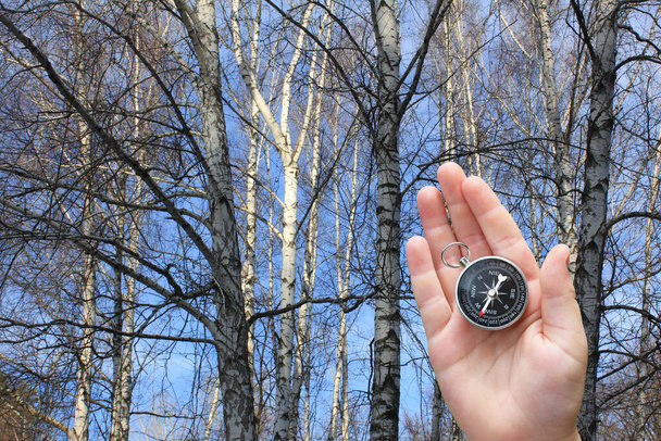 pyöreä kompassi kädessä syksyllä koivumetsä tausta symbolina matkailun kompassi, matkustaa kompassi ja ulkoilu kompassi syksyllä - Valokuva, kuva