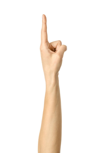 Pointing up. Woman hand gesturing isolated on white - Valokuva, kuva