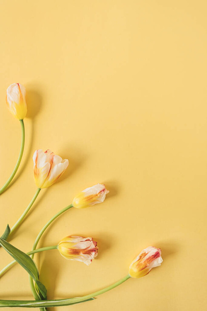 Színes tulipán virágok sárga háttérrel. Lapos fektetés, felülnézet virágos ünnep ünnepi kompozíció. Esküvő, Valentin-nap, Anyák napja. - Fotó, kép