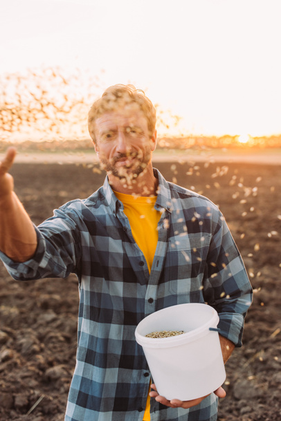 selective focus of farmer holding bucket while sowing cereals on field - Photo, Image