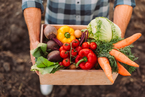 vista de ángulo alto del agricultor sosteniendo caja de madera con verduras frescas y maduras - Foto, Imagen