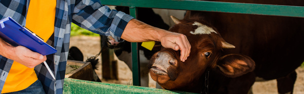 農場で牛の頭に触れるクリップボードを持つ農民の水平概念 - 写真・画像