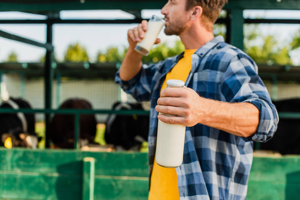 selective focus of farmer in plaid shirt holding bottle while drinking fresh milk  - Fotó, kép