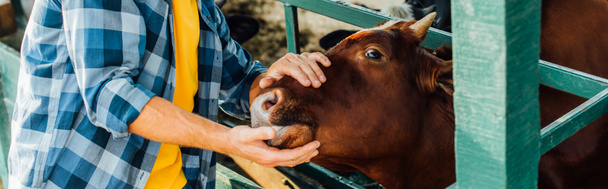 Kareli gömlekli bir çiftlik sahibinin kahverengi ineğe dokunuşu, yatay konsept - Fotoğraf, Görsel