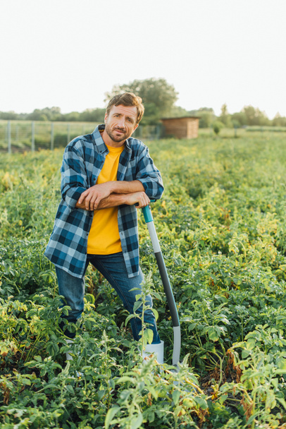 farmer in checkered shirt looking at camera while leaning on shovel in field - Photo, Image