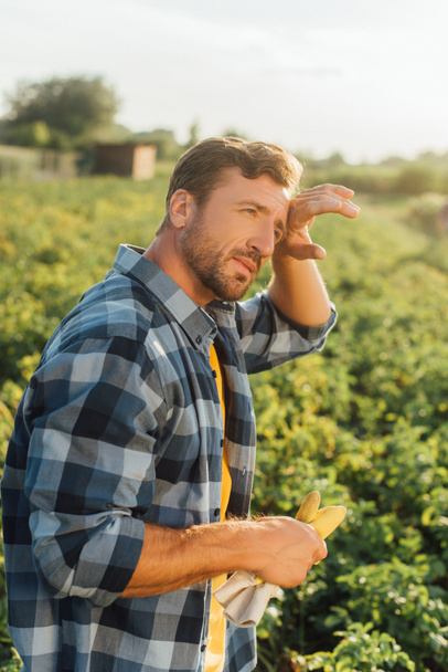 tired farmer in plaid shirt touching forehead and looking away while standing in field  - Foto, Bild