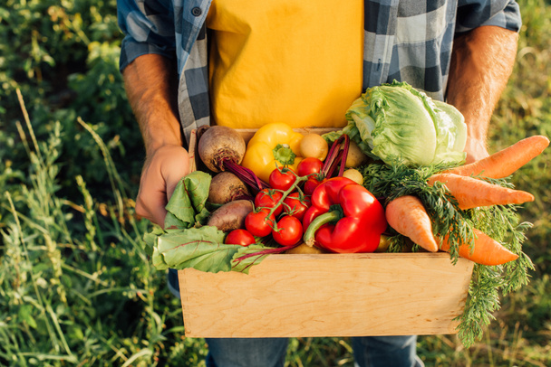 cropped view of farmer holding wooden box with fresh cherry tomatoes, bell peppers, cabbage, carrots and beet - Zdjęcie, obraz