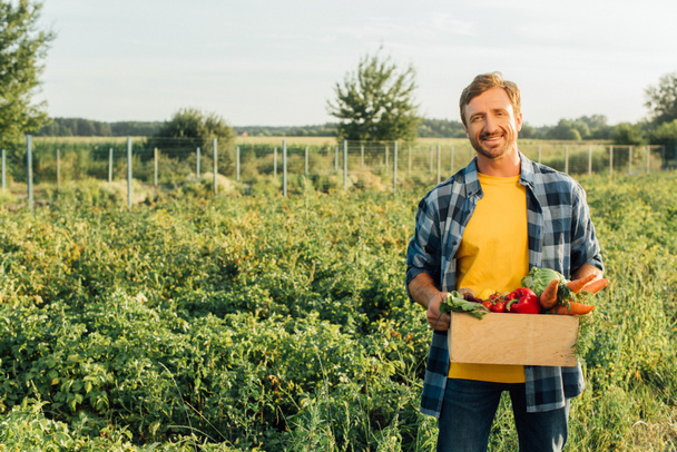 ranchero en camisa a cuadros con verduras frescas mientras está de pie en la plantación  - Foto, Imagen