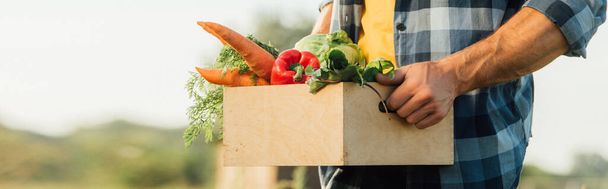 vue recadrée du rancher en chemise à carreaux contenant une boîte pleine de légumes frais, en-tête du site - Photo, image