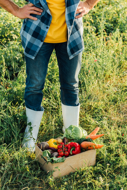 обрезанный вид фермера в резиновых сапогах, стоящего с руками на бедрах возле коробки со свежими овощами - Фото, изображение