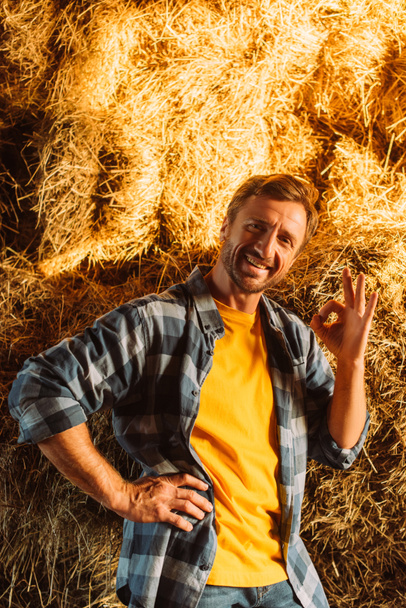 rancher in plaid shirt showing okay gesture while looking at camera near hay stack - Photo, Image
