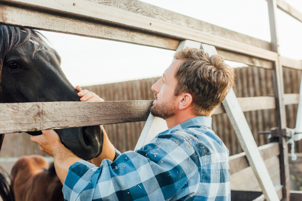 Tilallinen ruudullinen paita koskettaa ruskea hevonen aitauksessa tilalla - Valokuva, kuva