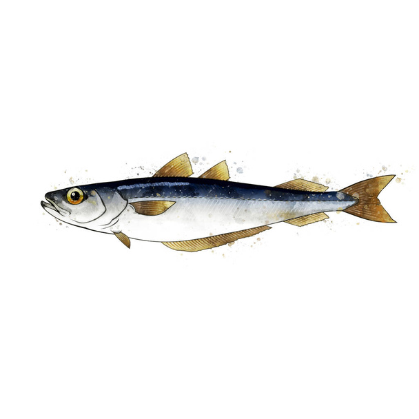 Blue Witing, watercolor isolated illustration of a fish. - Fotó, kép
