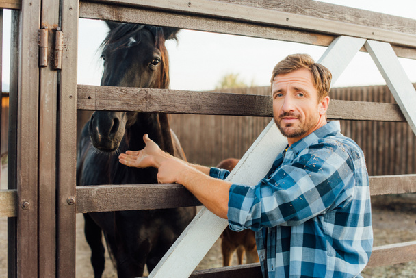 Rancher im karierten Hemd berührt braunes Pferd im Gehege, während er in die Kamera schaut - Foto, Bild